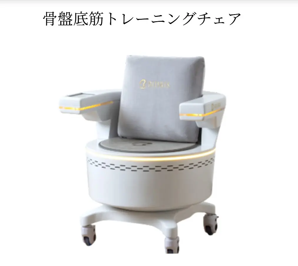 骨盤底筋トレーニングチェア「BIJIRIS（ビジリス）」｜美尻・尿漏れ